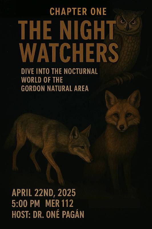 Night Watchers