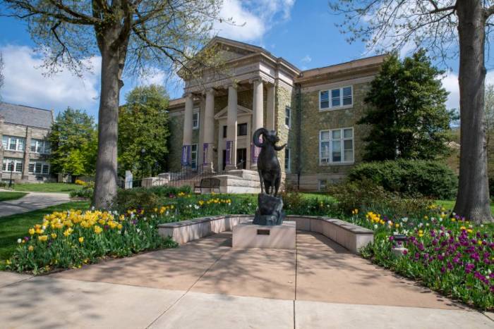 WCU Ram Statue framed by purple and yellow flowers, with an academic building in the background.