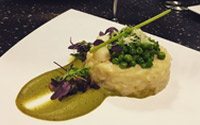 Dining Services