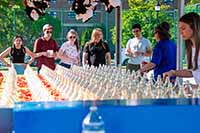 Decorative Ramboree photo thumbnail of event in 2025 - 22