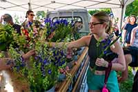 Decorative Ramboree photo thumbnail of event in 2025 -  2