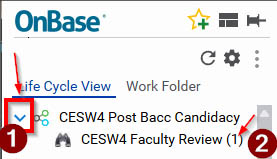 CESW4 Post BACC Candidacy