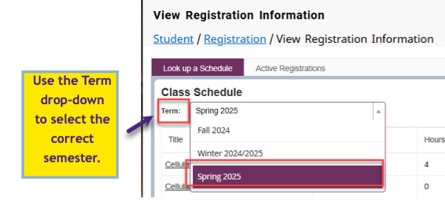 View Registration Information page with the Term dropdown expanded to select a semester.
