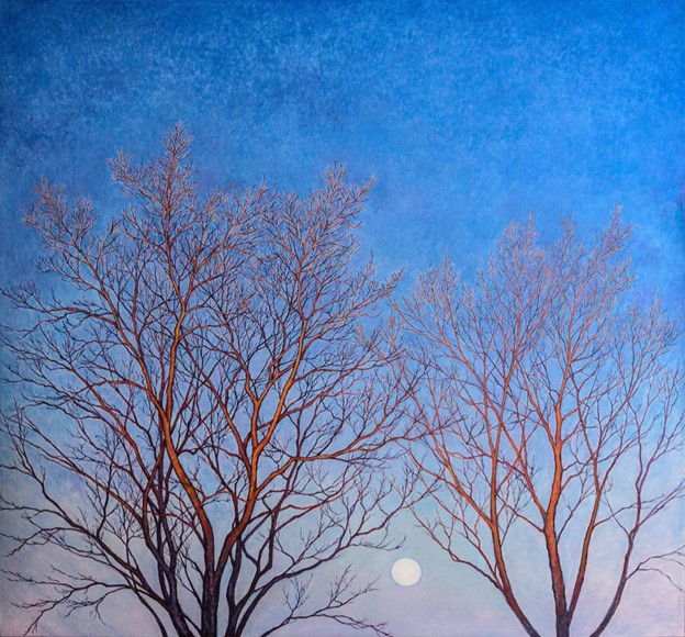 Rise Of the Moonlight