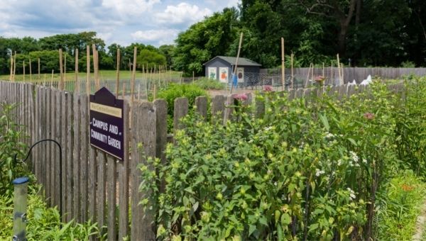 Sustainability at WCU