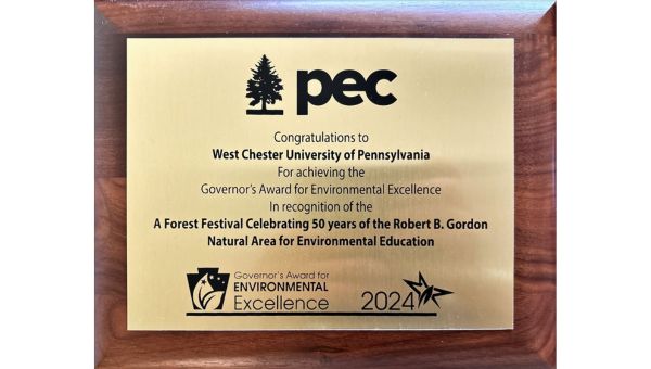 plaque