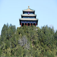Building in the background, trees in the foreground (thumbnail)