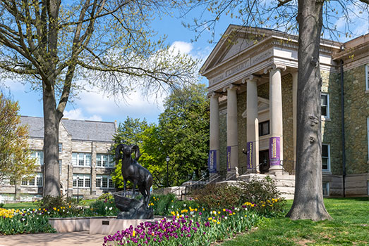 Ram Statue in front o Old Library at WCU