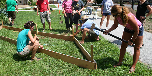 Students building garden bed