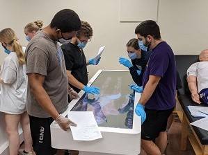 Anatomage Tables in use