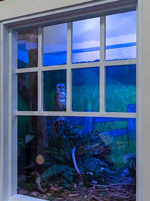 Earth day 50 exhibit