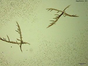 Reagent 3