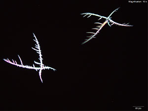 Reagent 6