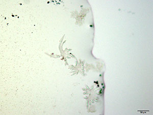 Reagent 7