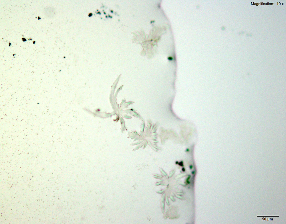 Reagent 7