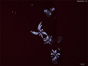 Reagent 9