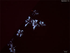 Reagent 10