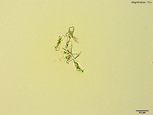 Reagent 11