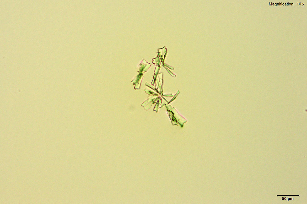 Reagent 11