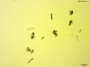 Reagent 12