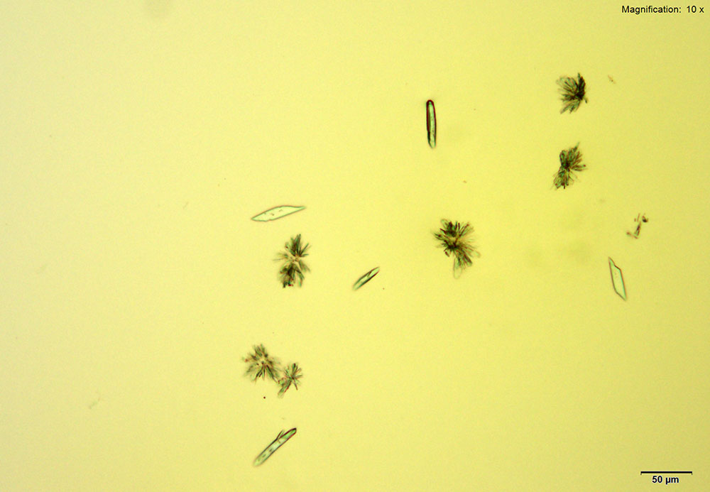 Reagent 12