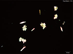 Reagent 14