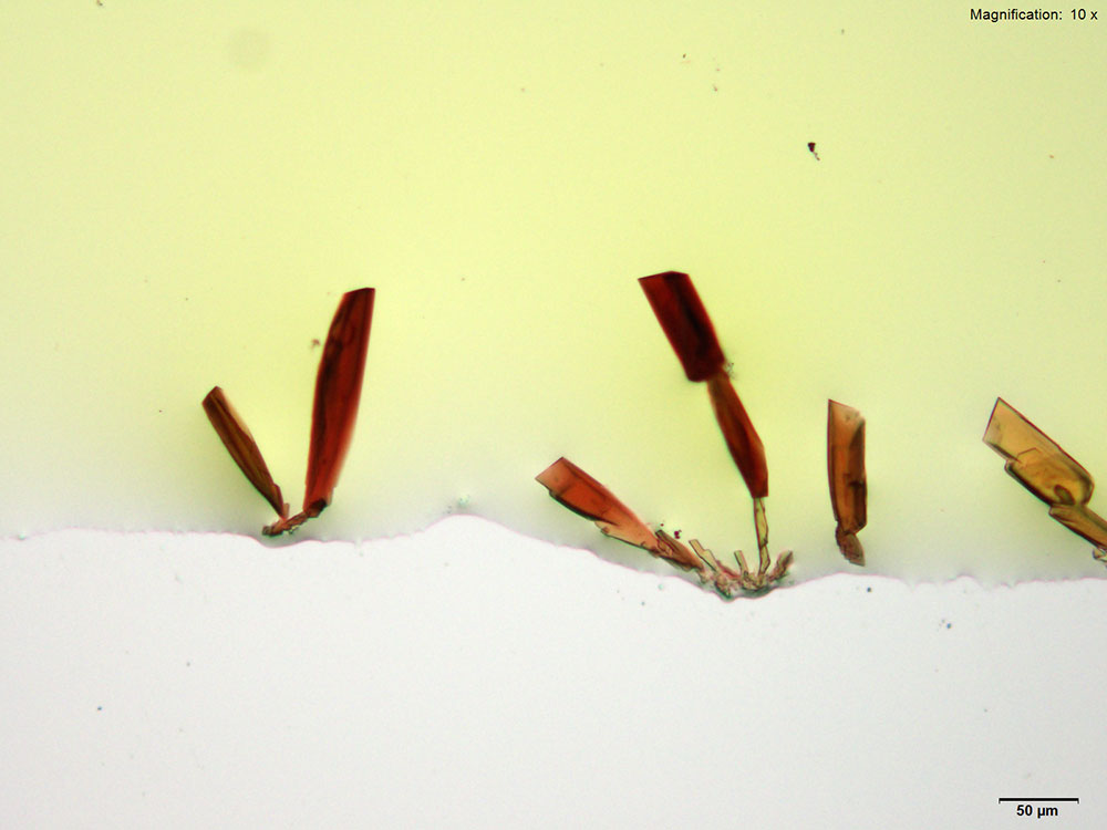 reagent1 