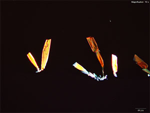 reagent 3 thumbnail