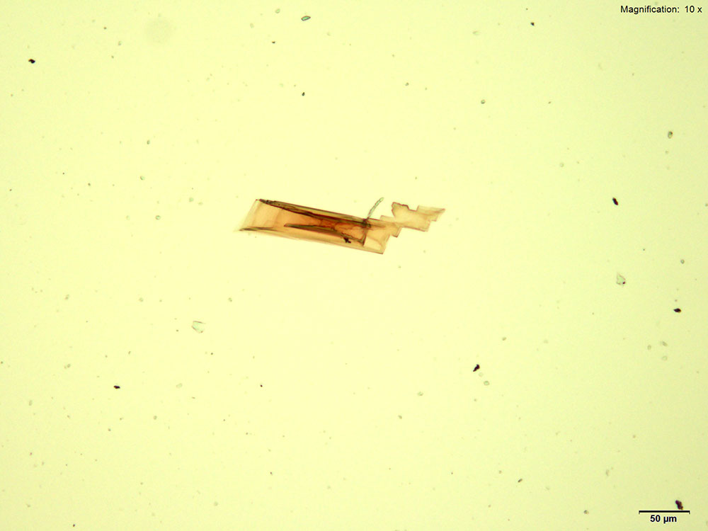 Reagent 5