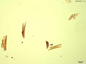 reagent 6 thumbnail