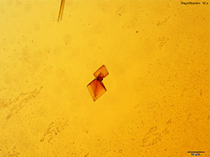 reagent 9 thumbnail