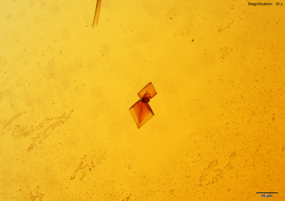 reagent 9