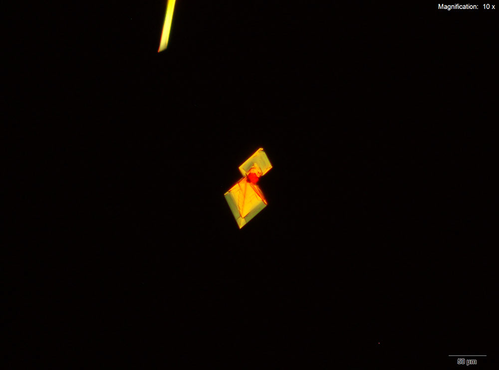 reagent 11
