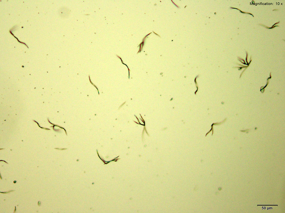 reagent 1
