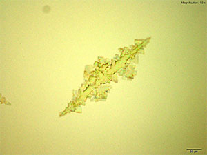 reagent thumbnail 2