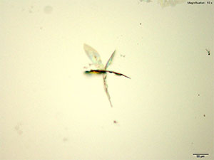 reagent thumbnail 3