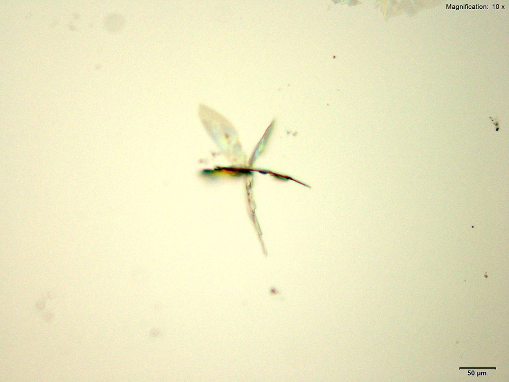 reagent 3