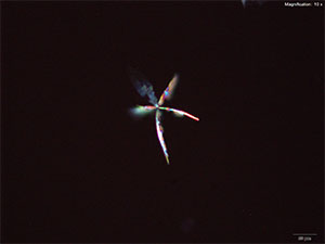 reagent thumbnail 7