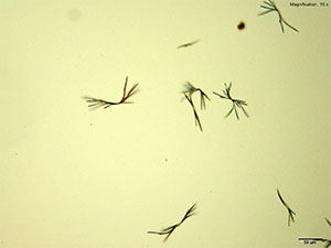 reagent thumbnail 4