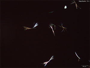 reagent thumbnail 8