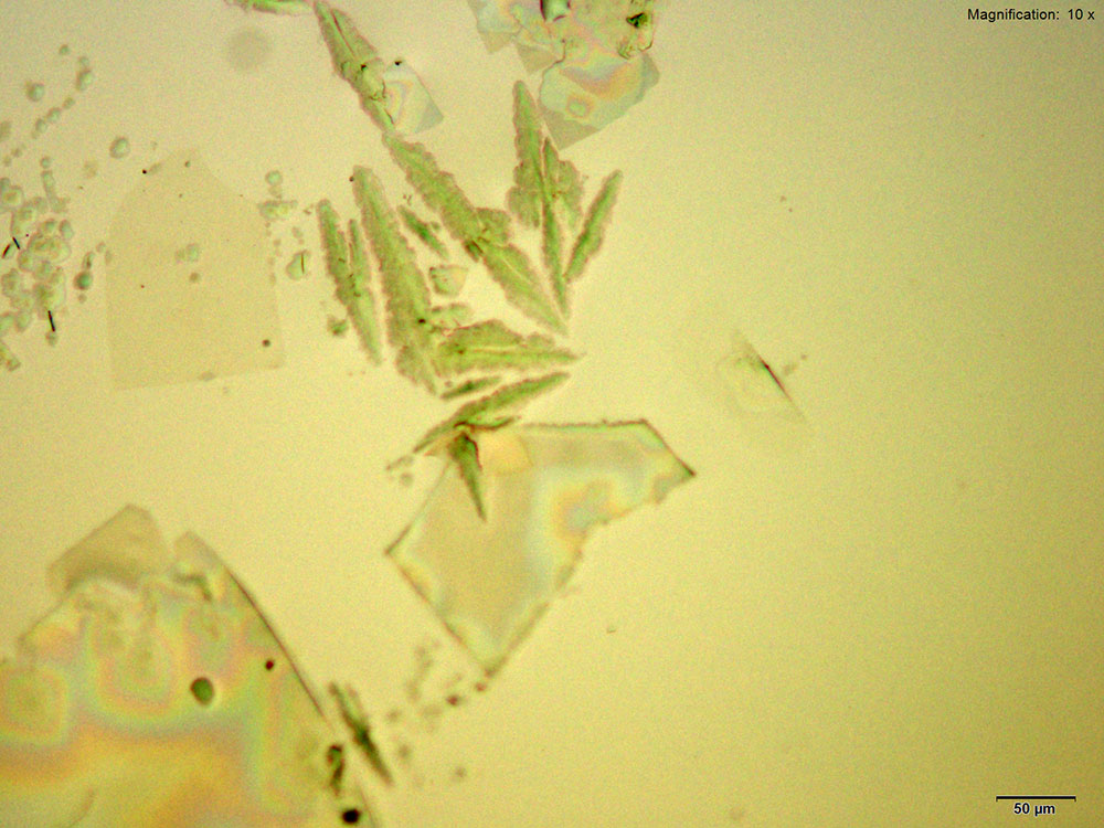 reagent 12