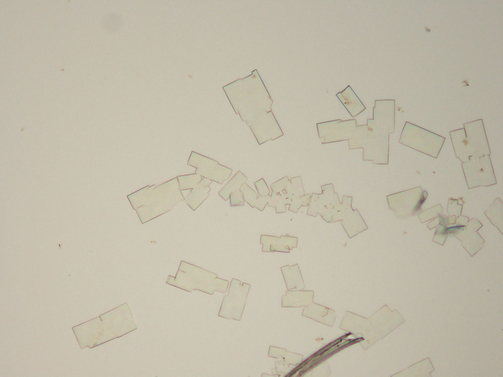 reagent 13