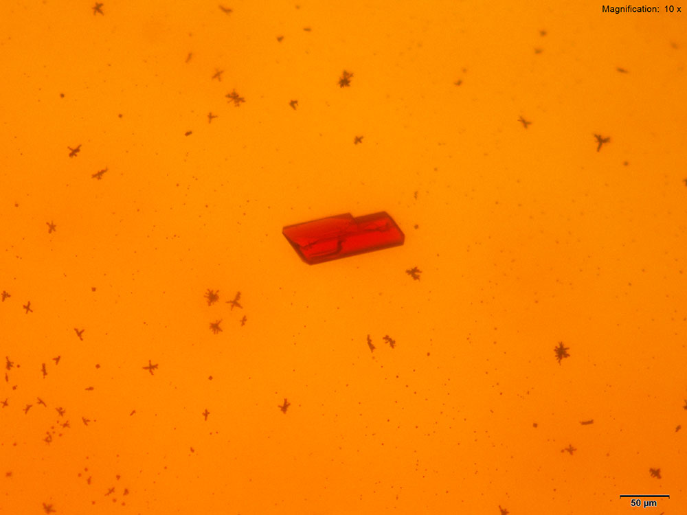 reagent 1