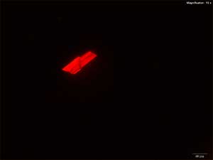 reagent thumbnail 2