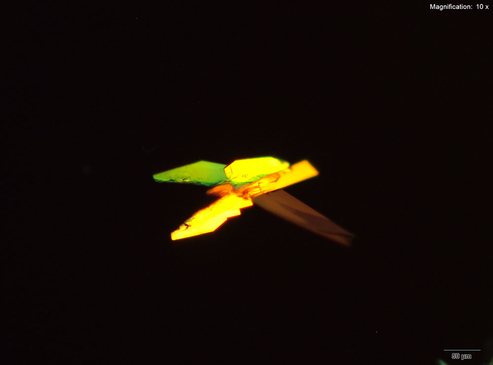 reagent 8