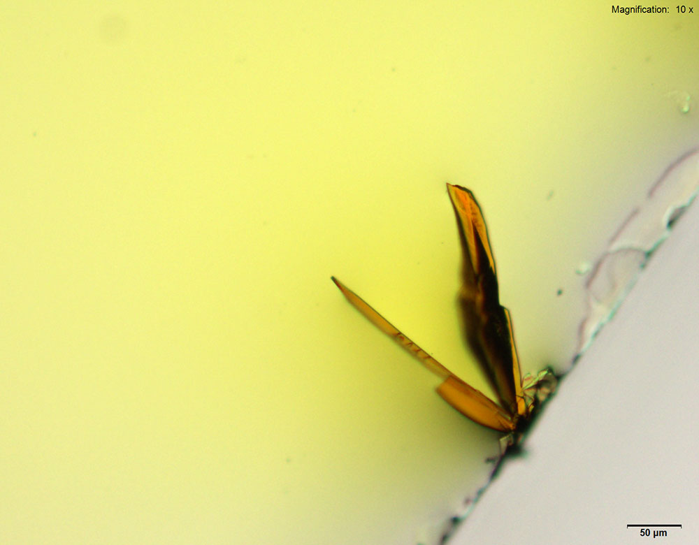 reagent 1