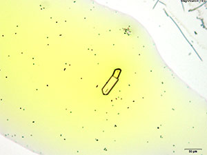 reagent thumbnail 1