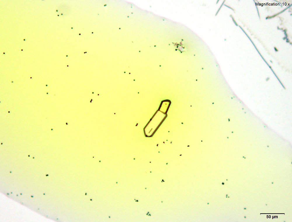 reagent 1