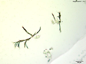 reagent thumbnail 3