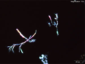 reagent thumbnail 4